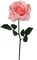 20-Inch Premium Open Rose Stems - Set of 24 with Lifelike Silk Leaves, Realistic Artificial Roses for Bouquets, Floral Arrangements, Wedding & Event Decor, Home & Office Accents, Floral Home by Artificial Flowers